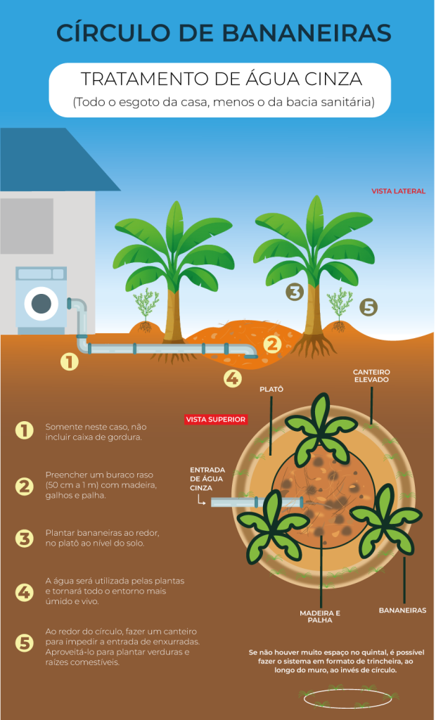 Manutenção do Círculo de Bananeiras: Dicas para Longevidade e Eficiência