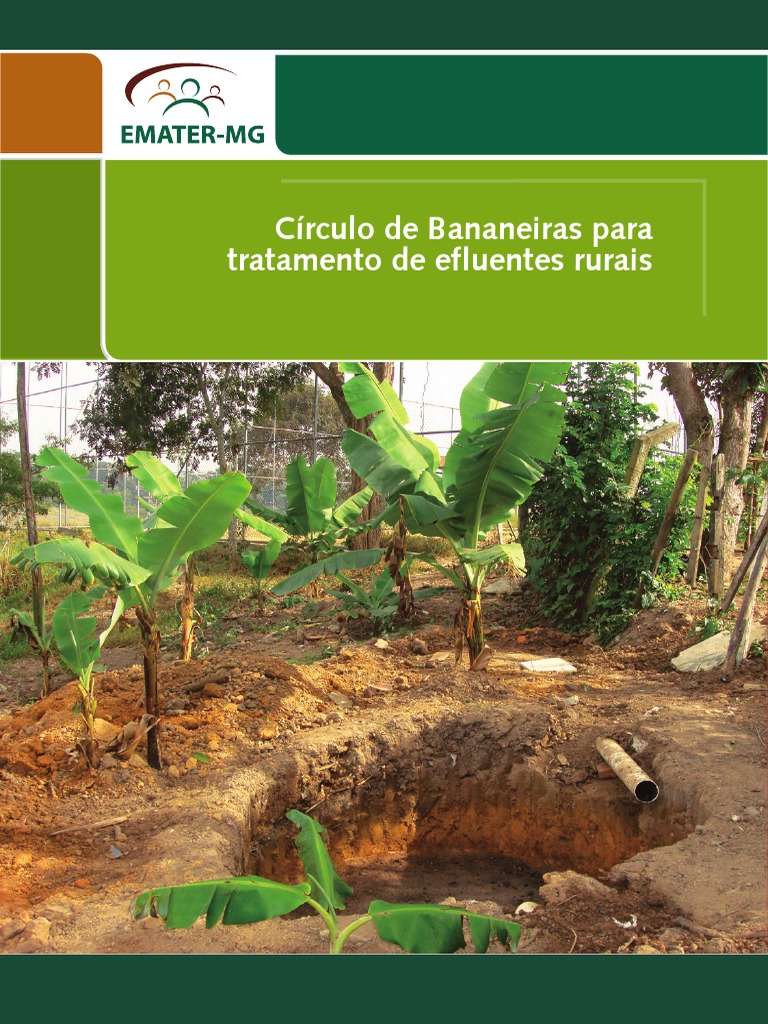 Como Dimensionar o Círculo de Bananeiras para Sua Casa