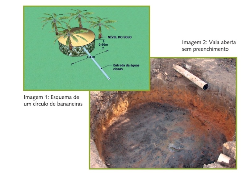 Plantas Ideais para o Círculo de Bananeiras em Diferentes Climas