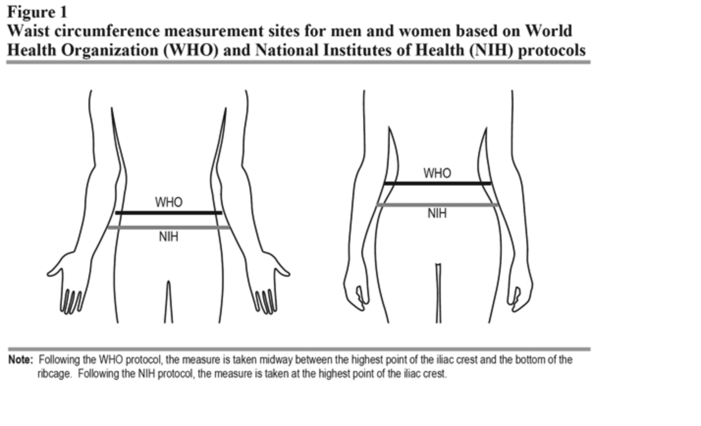 Doenças Associadas à Circunferência Abdominal Elevada: Prevenção e Tratamento