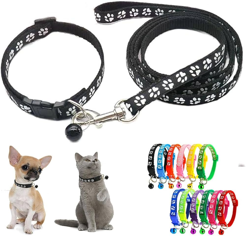 Qual o coletivo de gatos?