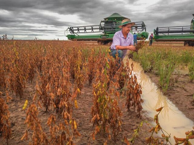 Economia na Conta de Água: O Impacto Real da Captação de Chuva