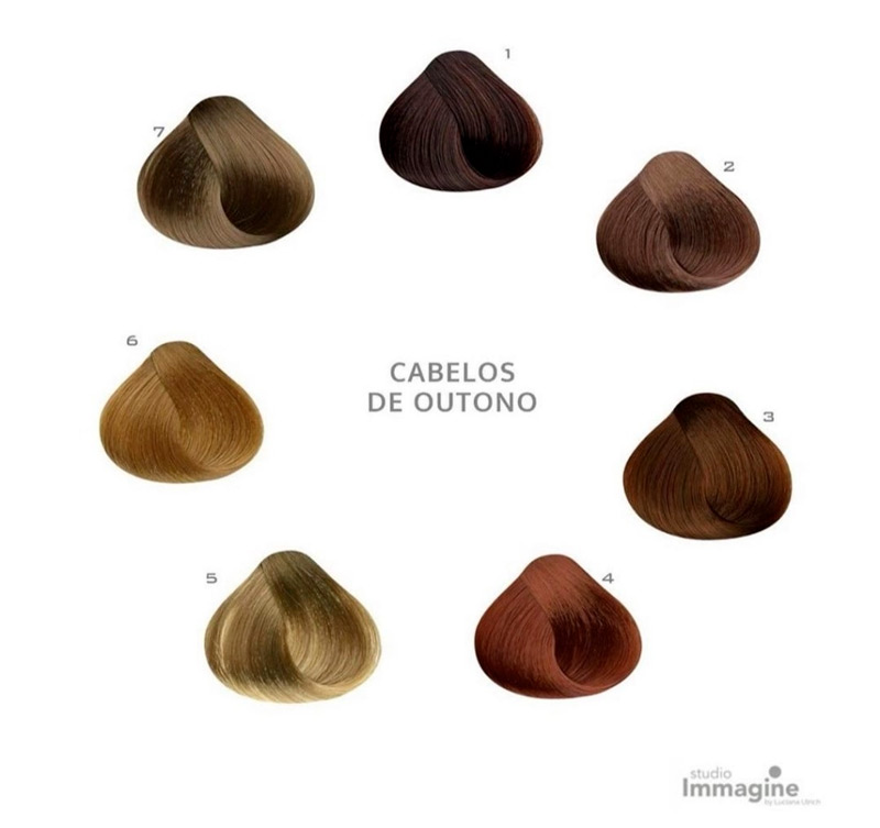 1. Guia Completo da Colorimetria Capilar para Iniciantes
2. Como a Estrela de Oswald Revoluciona a Coloração
3. Desvendando os Mistérios do Fundo de Clareamento
4. Colorimetria Pessoal: Encontre a Cor Ideal para Você
5. Regras de Ouro da Coloração: Evite Erros Comuns