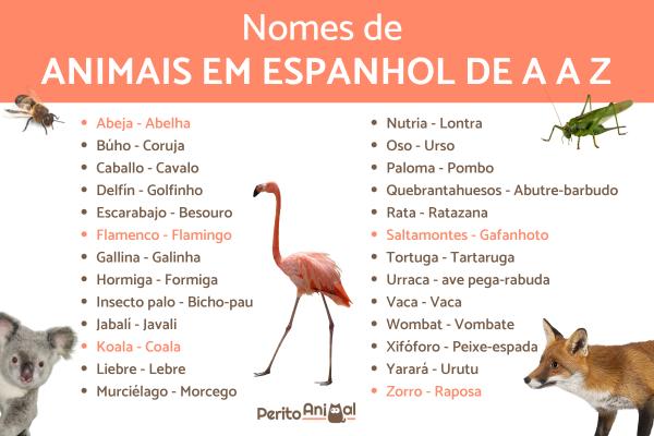 formiga em espanhol