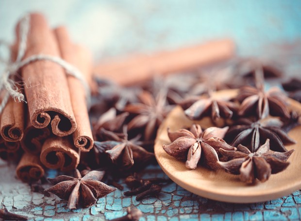 como eliminar formigas da cozinha