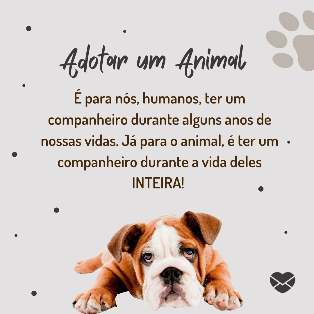 5 Dicas para Provar sua Responsabilidade aos Pais Antes de Pedir um Cachorro