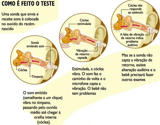 Teste da Orelhinha: direitos e obrigações legais no Brasil.