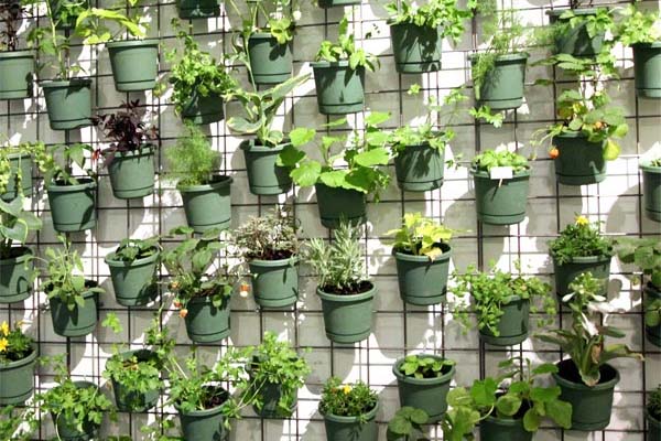 Horta Suspensa para Iniciantes: O Passo a Passo Definitivo da Montagem