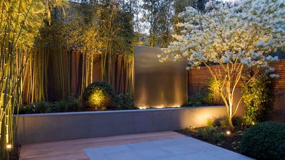 As Melhores Plantas para Cultivar em Canteiros Suspensos de Acordo com a Luz Solar