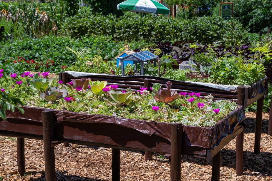 Dicas Essenciais de Manutenção para Garantir a Vida Longa do seu Canteiro Elevado