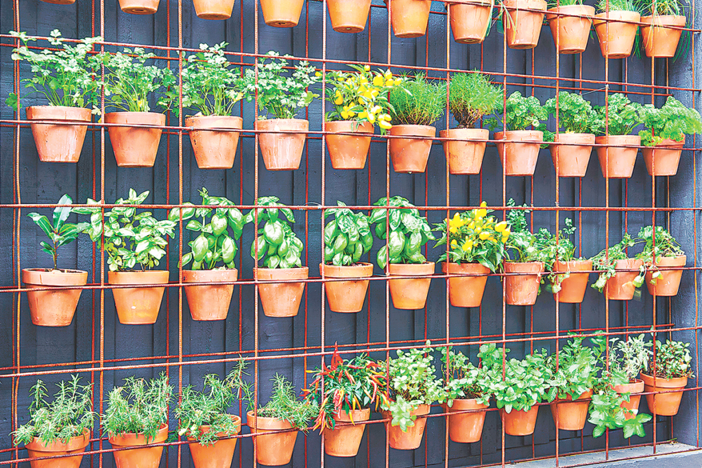 Como Fazer Canteiros Suspensos