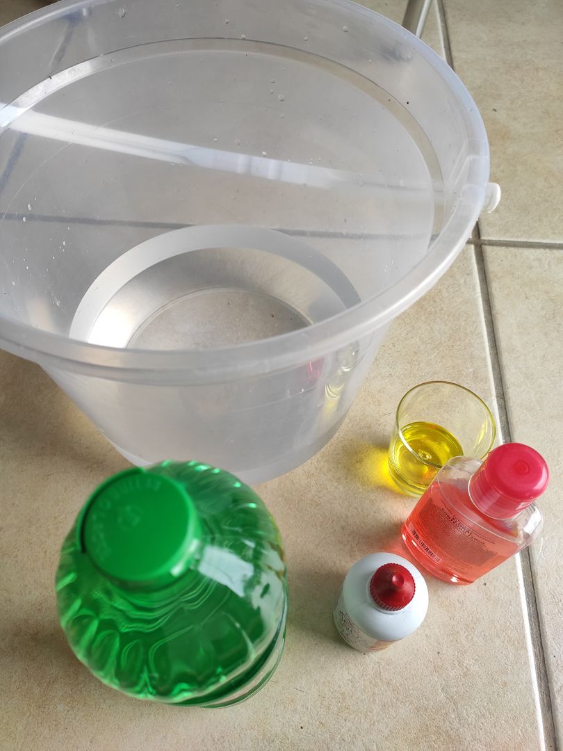 O Poder do Eucalipto na Limpeza da Casa