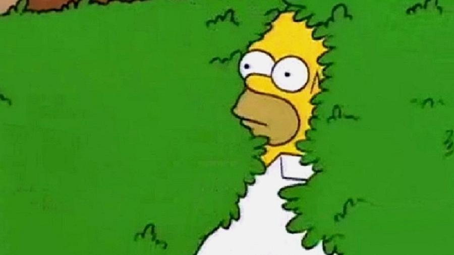 transformar foto em gif