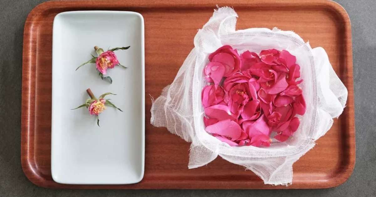 perfume com essência
