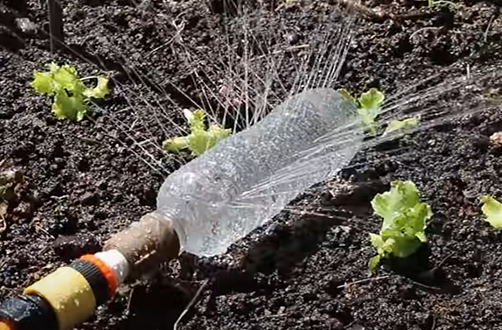 erros comuns irrigação garrafa pet vertical