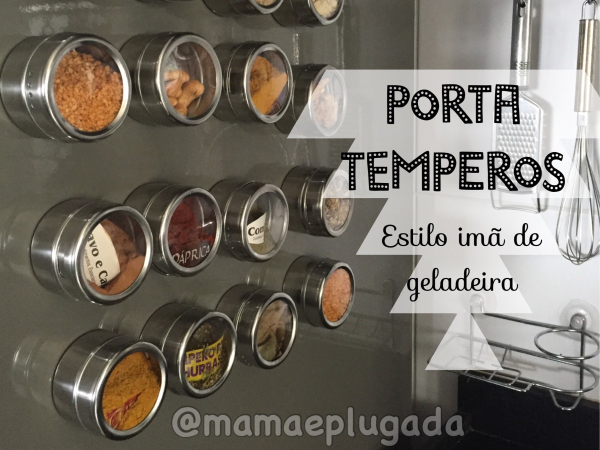 organizar temperos na geladeira com imãs