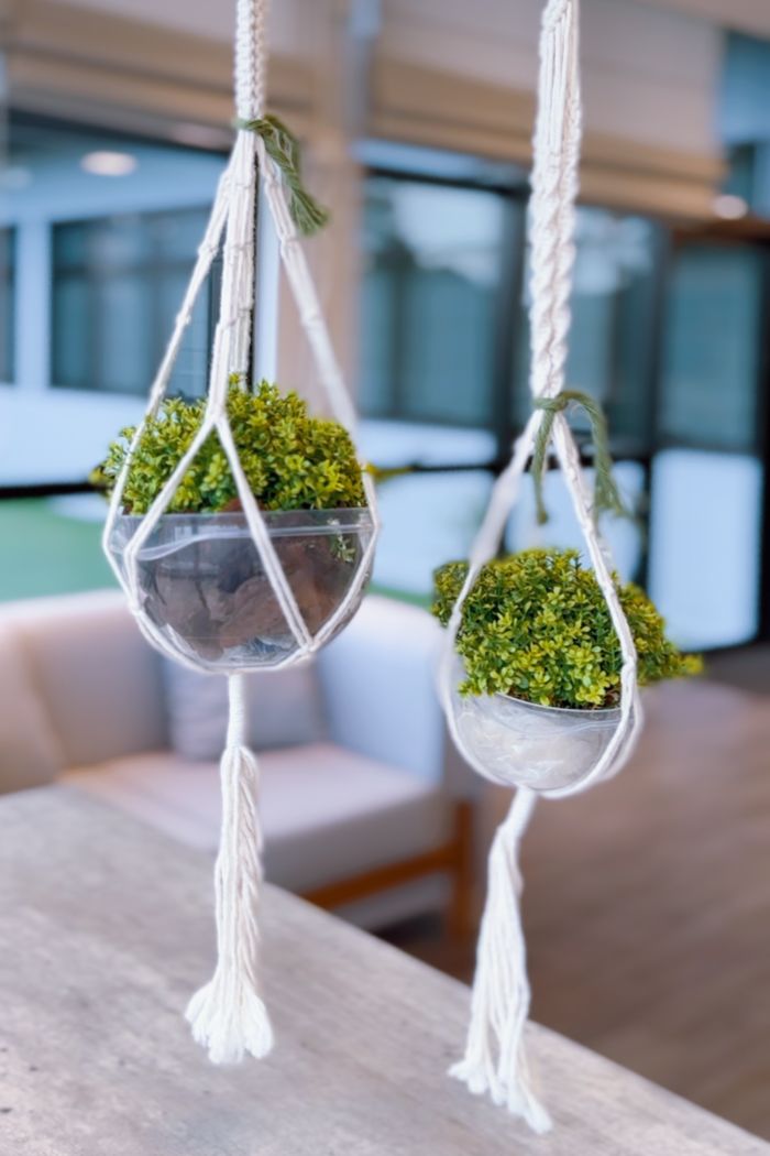 diy macrame plant hanger tutorial