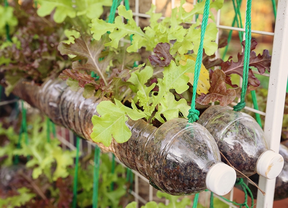horta sustentavel com material reciclado