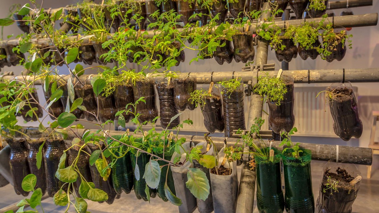 horta em garrafa pet passo a passo