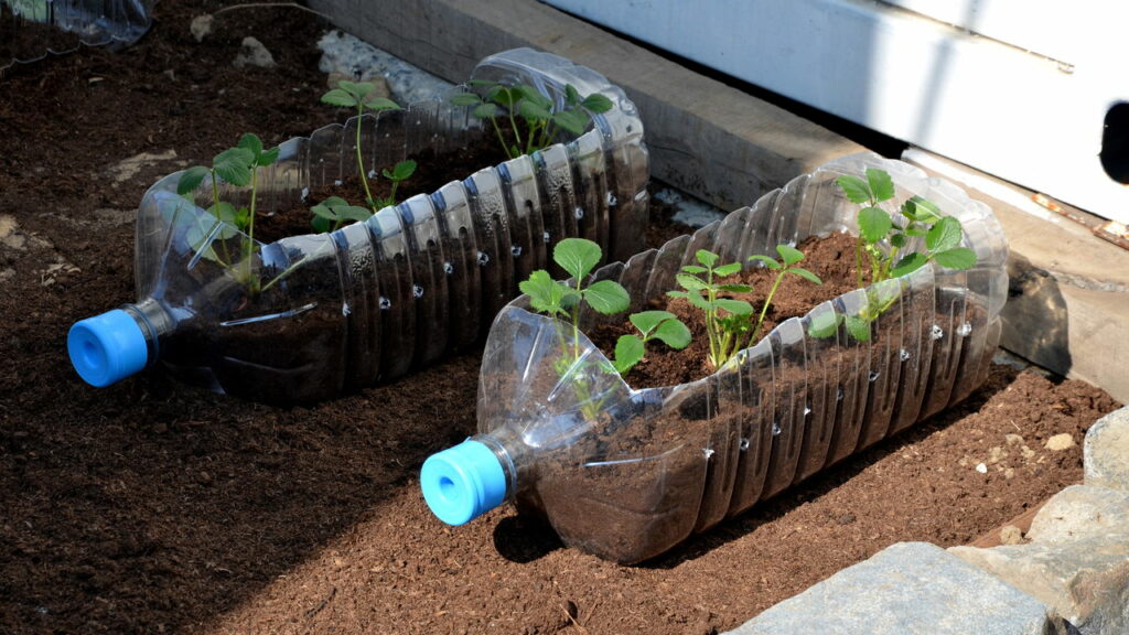 como fazer horta vertical com garrafa pet
