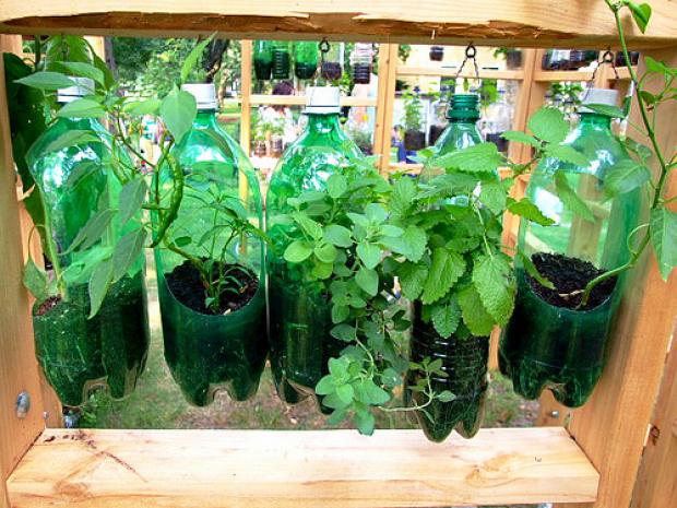 horta em garrafa pet passo a passo