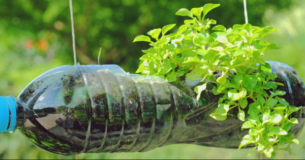 horta sustentavel com material reciclado