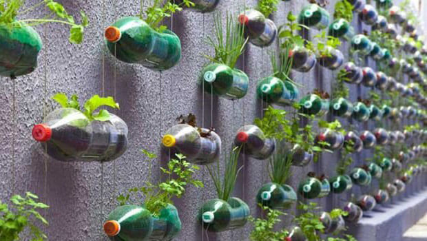 horta sustentavel com material reciclado