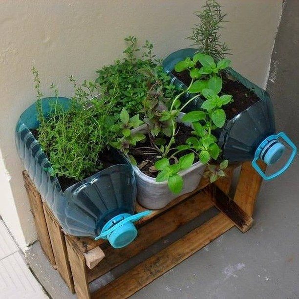 como fazer horta vertical com garrafa pet