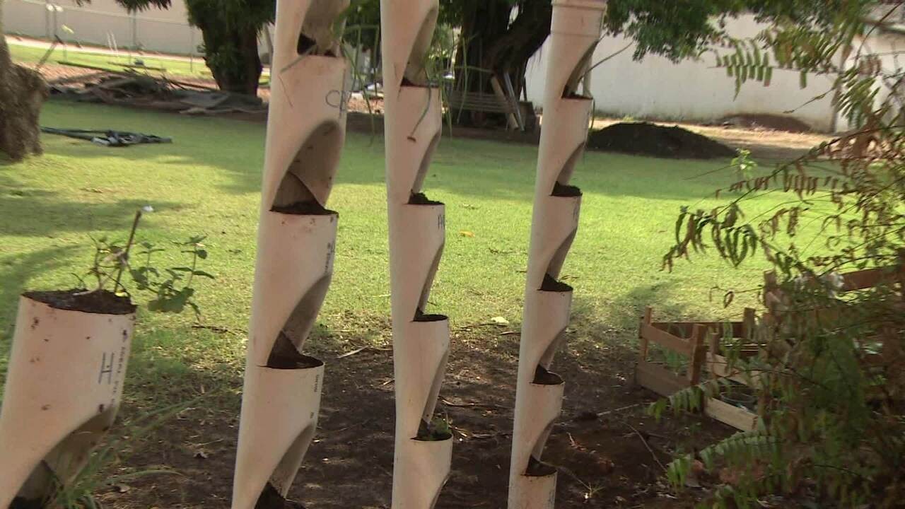 5 Mitos sobre Hortas Verticais de PVC