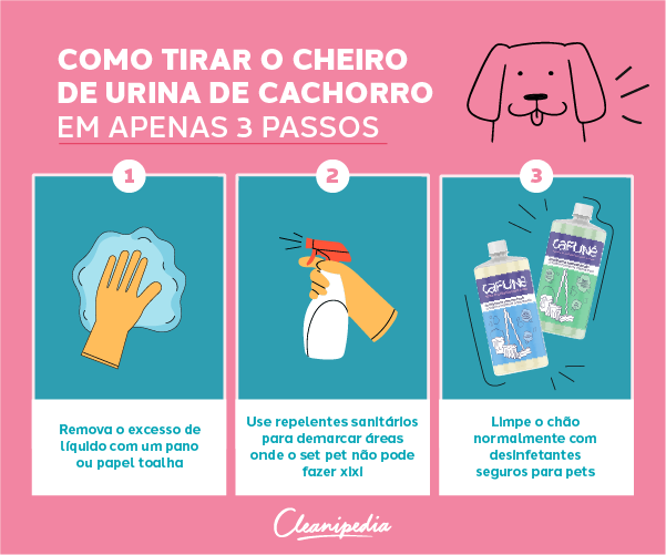 Guia Completo: Como Eliminar o Cheiro de Xixi de Cachorro de Uma Vez por Todas; Receita Secreta: A Mistura Caseira que Tira o Odor de Urina de Cachorro; Limpadores Enzimáticos: A Solução Definitiva para Xixi de Cachorro em Tecidos Delicados; Erros Comuns ao Limpar Xixi de Cachorro (e Como Evitá-los); Xixi de Cachorro no Sofá ou Tapete? Dicas Profissionais para uma Limpeza Impecável