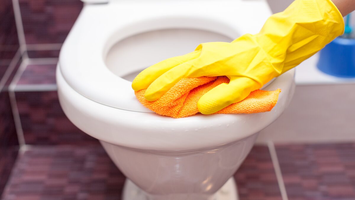 melhor desinfetante para vaso sanitário