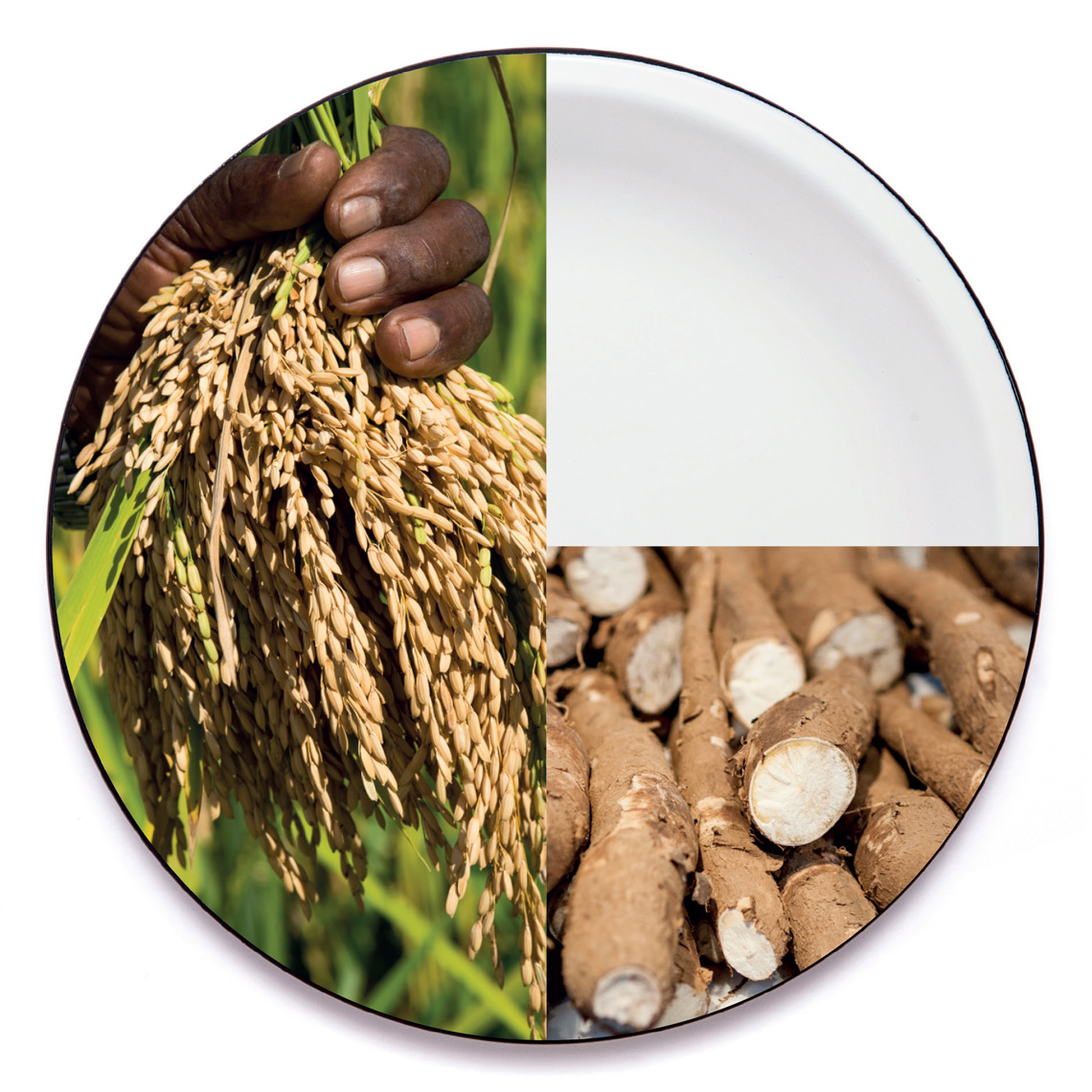 Análise Econômica: O Custo das Mudanças Climáticas para o Brasil