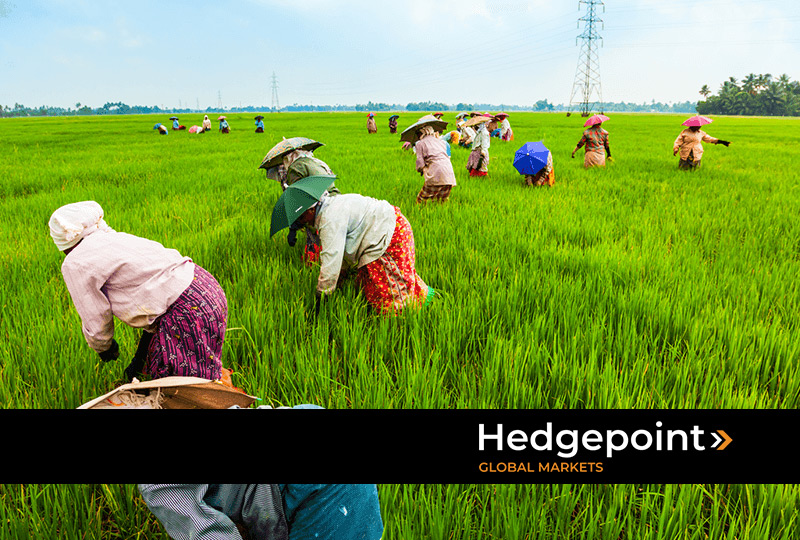 como o clima afeta a produção