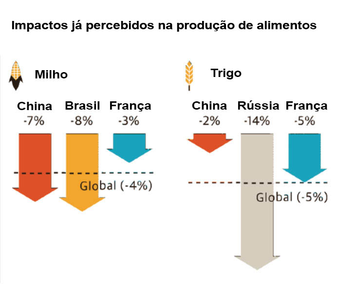 O Papel da Pecuária Sustentável Frente ao Estresse Térmico