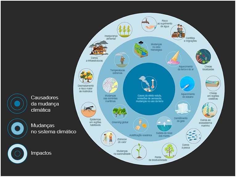 Análise Econômica: O Custo das Mudanças Climáticas para o Brasil