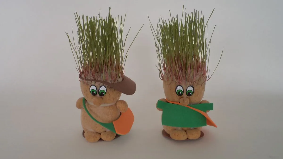 Como Plantar Alpiste