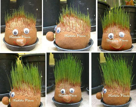 Guia completo: Criando o boneco de alpiste com as crianças