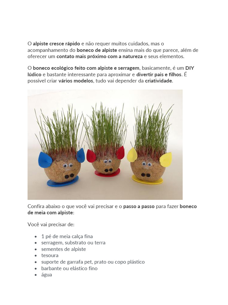 Guia completo: Criando o boneco de alpiste com as crianças