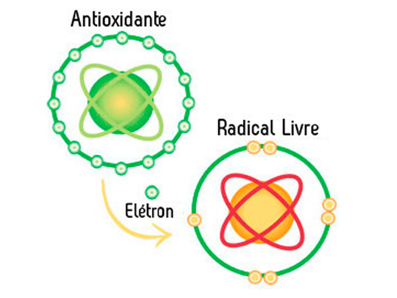 Como Se Combate Os Radicais Livres