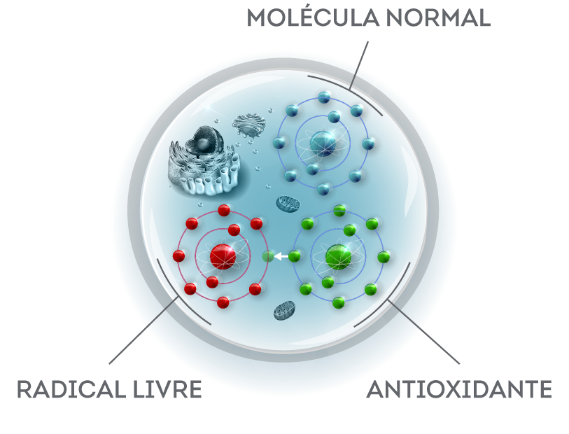 Como Se Combate Os Radicais Livres
