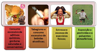 Como Se Combate Os Radicais Livres