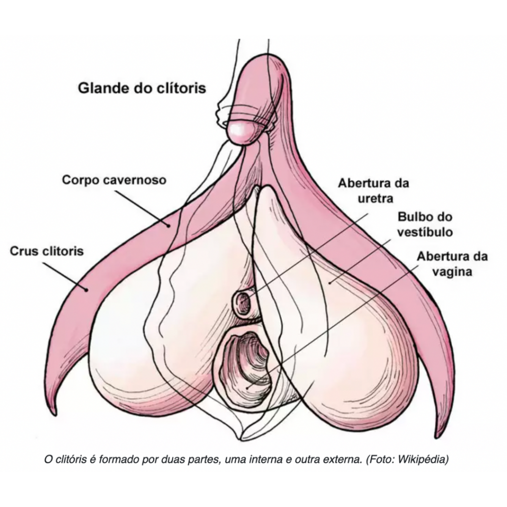 Pompoarismo para iniciantes: fortalecendo o assoalho pélvico