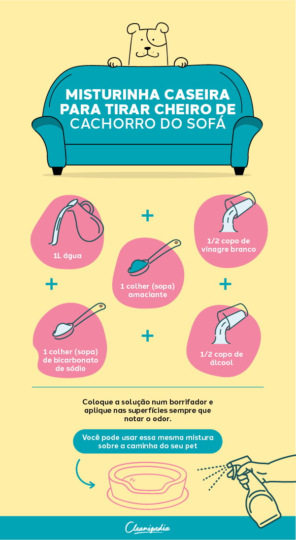 Receita Caseira Poderosa para Eliminar o Cheiro de Cachorro de Sofás e Tapetes