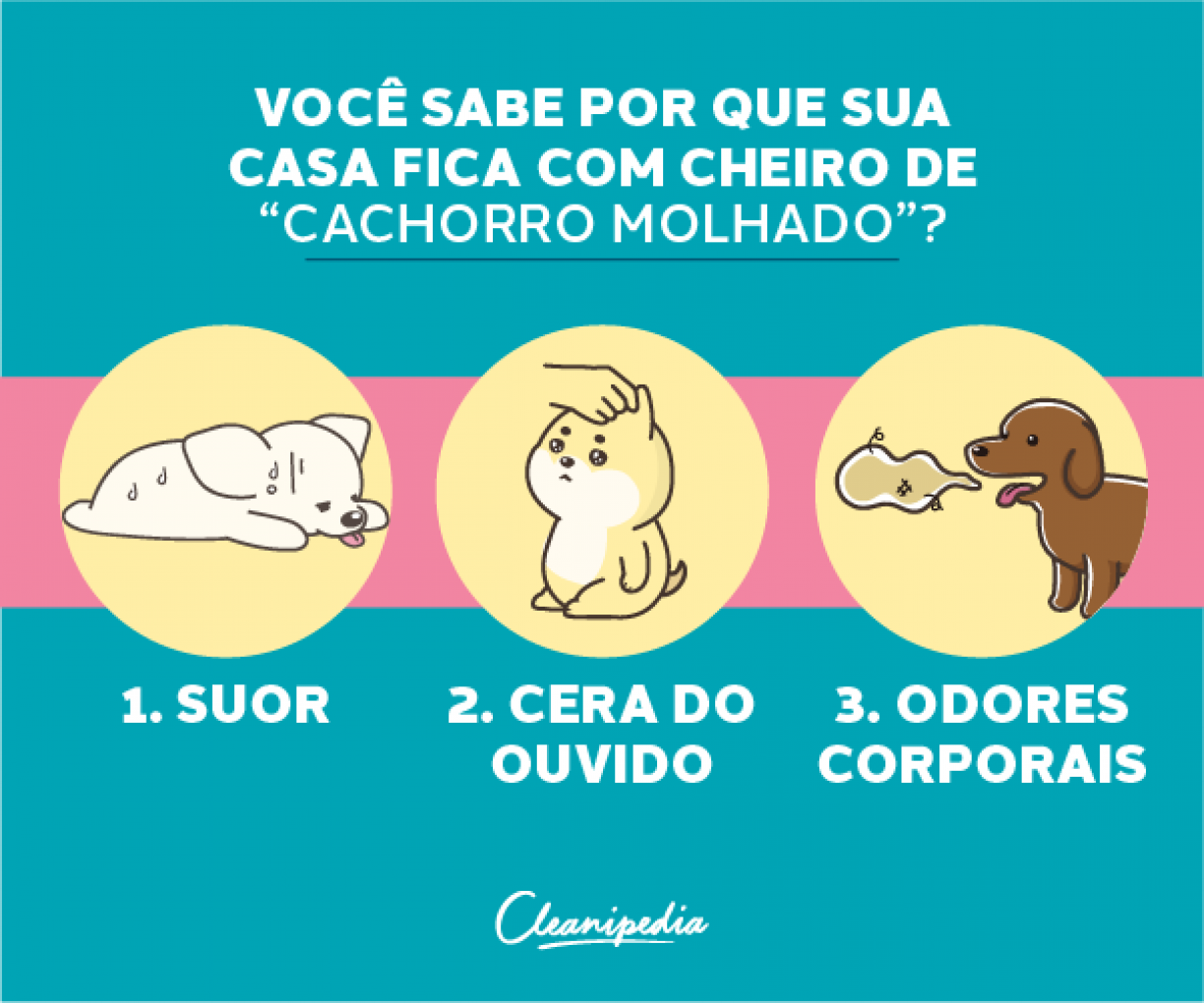 Guia Completo de Desinfetantes Veterinários: Escolha o Melhor para sua Casa com Pets