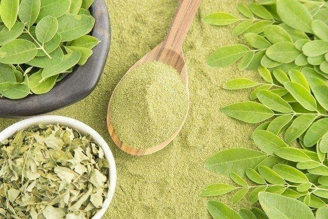 melhores formas criativas de usar moringa em pó
