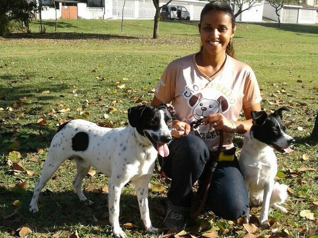 quanto cobra um pet sitter por hora