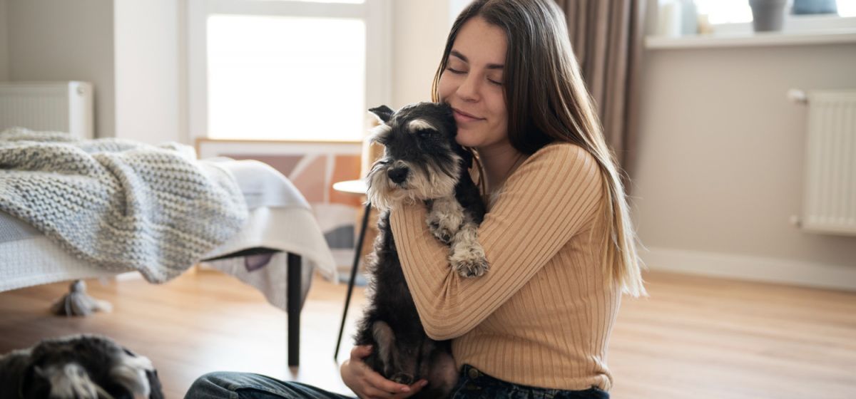 como se tornar pet sitter profissional