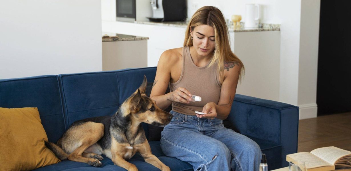 renda pet sitter autônomo