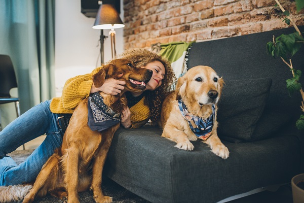 como se tornar pet sitter profissional