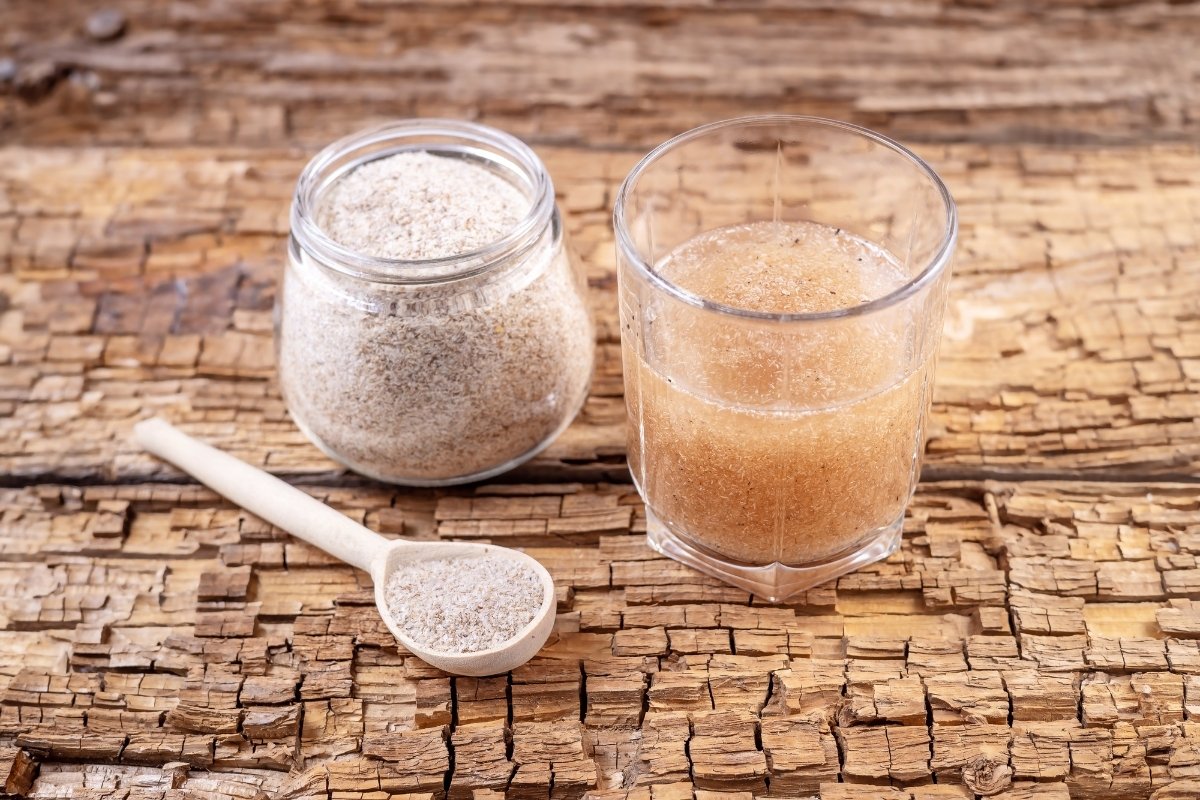 melhores receitas com psyllium para emagrecer